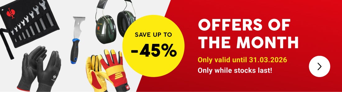 Offers of the month