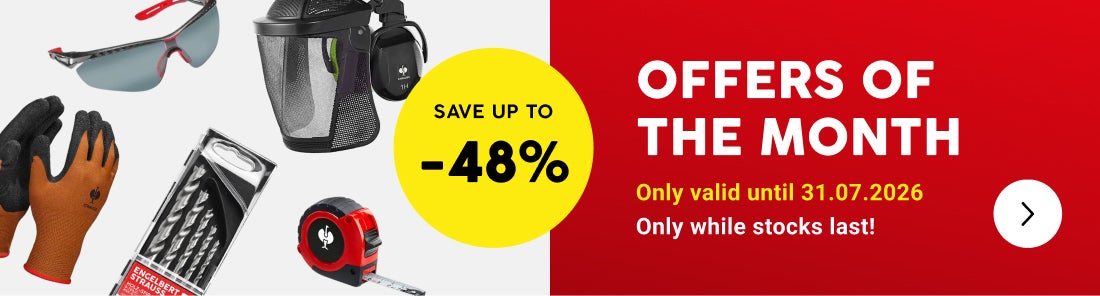 Offers of the month