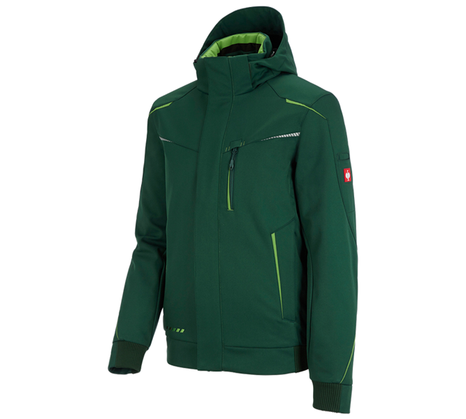 Main view, Gardening / Forestry / Farming, Winter softshell jacket e.s.motion 2020, men's, green/seagreen