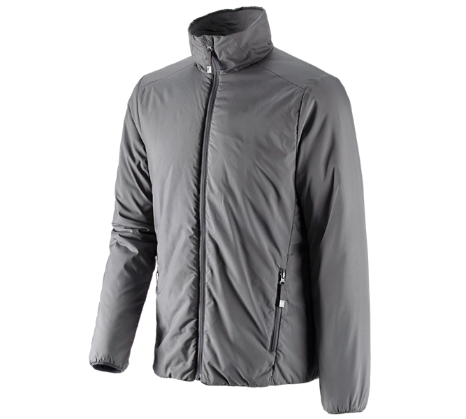 Main view, Work Jackets, e.s. Padded jacket CI, anthracite