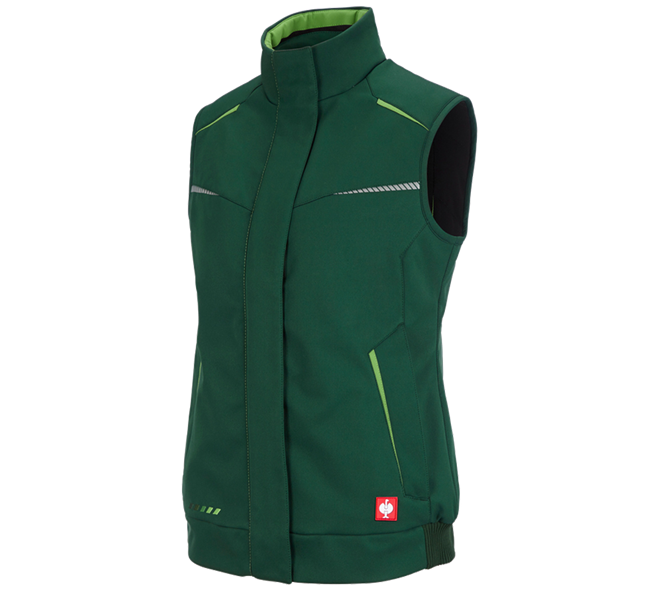 Main view, Gardening / Forestry / Farming, Winter softshellbodywarmer e.s.motion 2020,ladies', green/seagreen