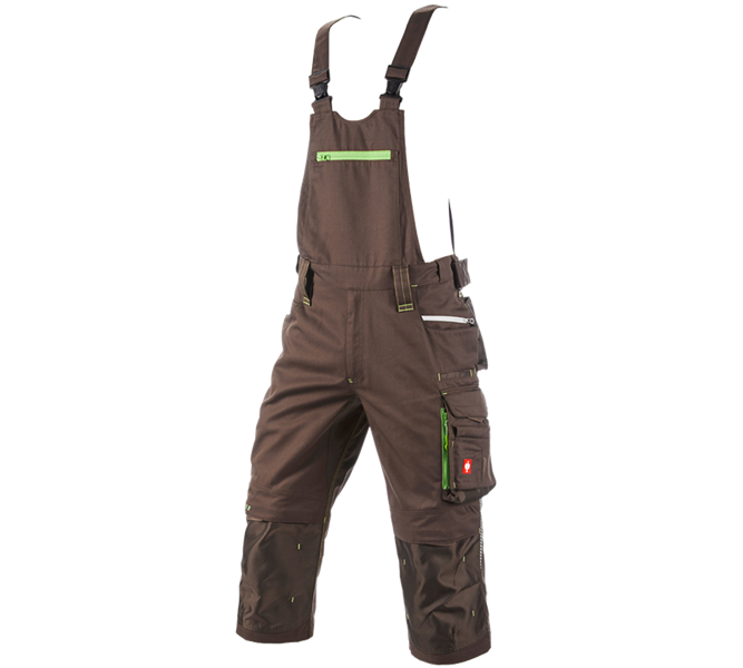 Main view, Shorts | 3/4 Shorts, 3/4 bib & brace e.s.motion 2020, chestnut/seagreen