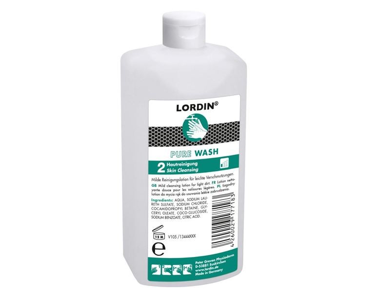 Main view, Hand cleaner | Hand washing paste, Disinfecting Soap LORDIN® Pure Wash