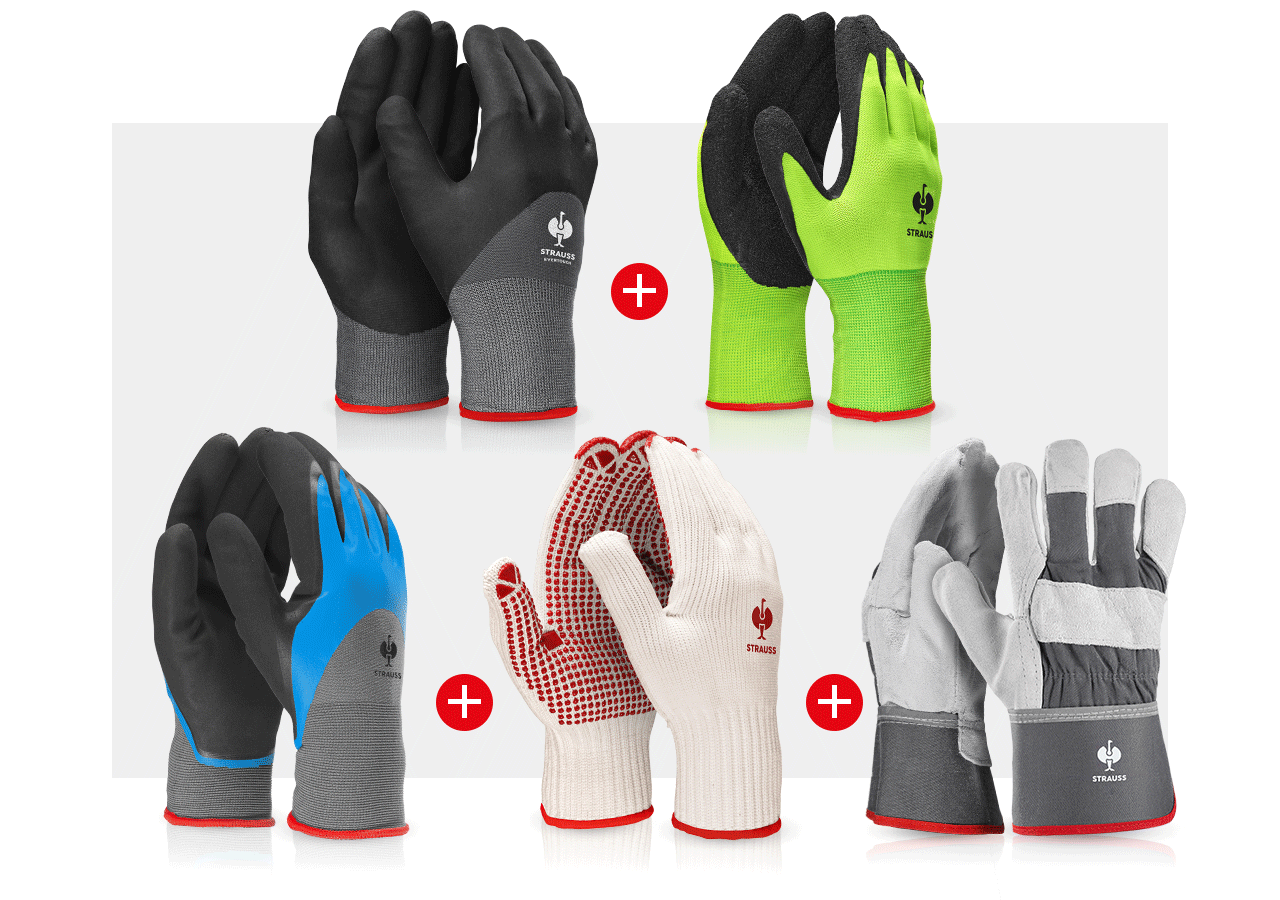 Personal Protection: Professional glove set garden II