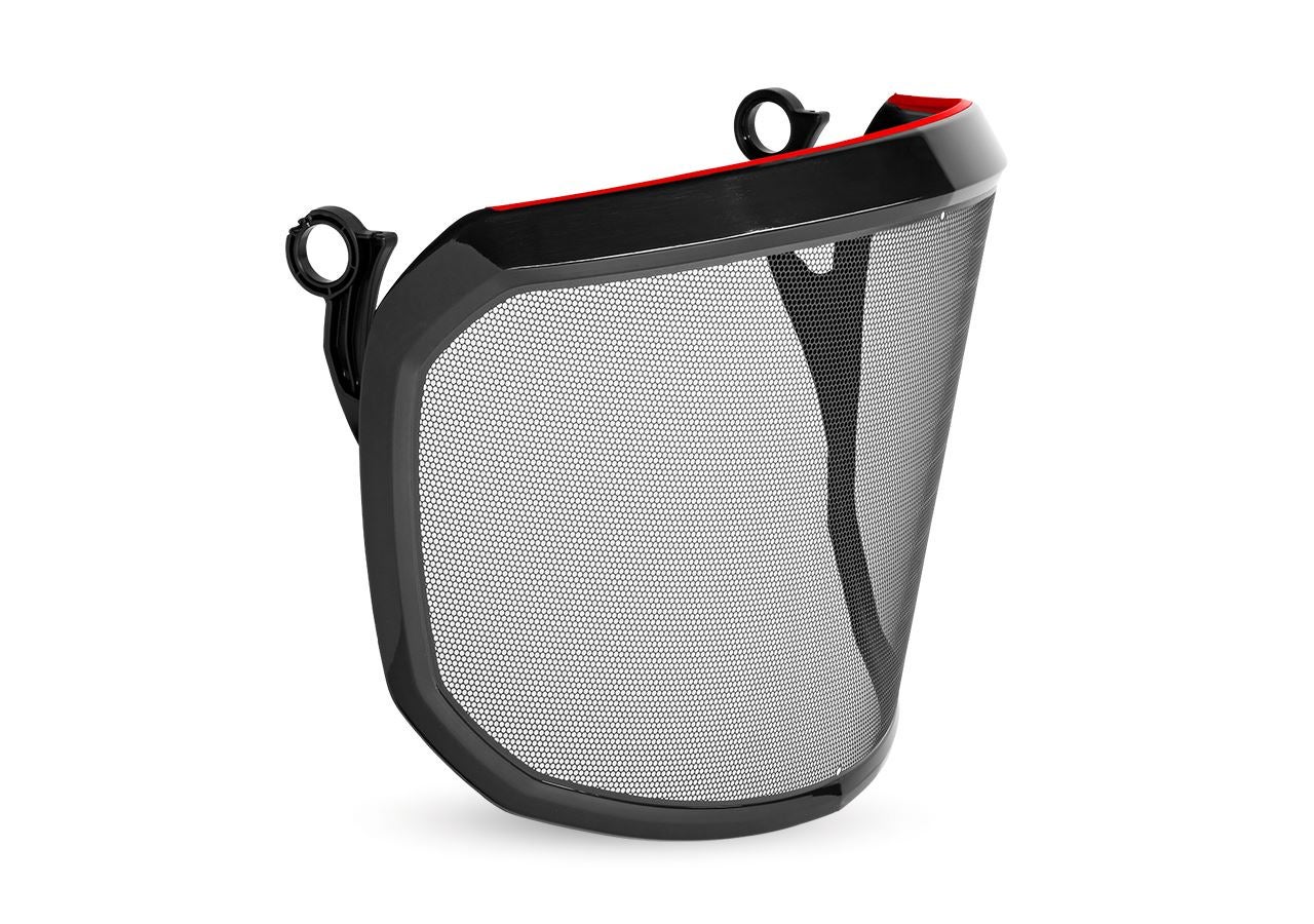 Accessories: e.s. Metal-etching visor F39 Protos® + black