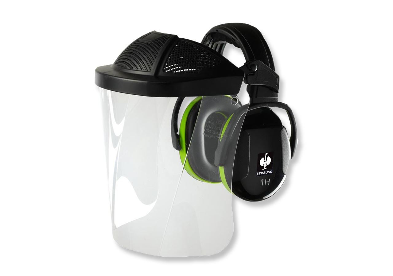 Face Protection: e.s. Facial protector+ prot. cups combi Industry