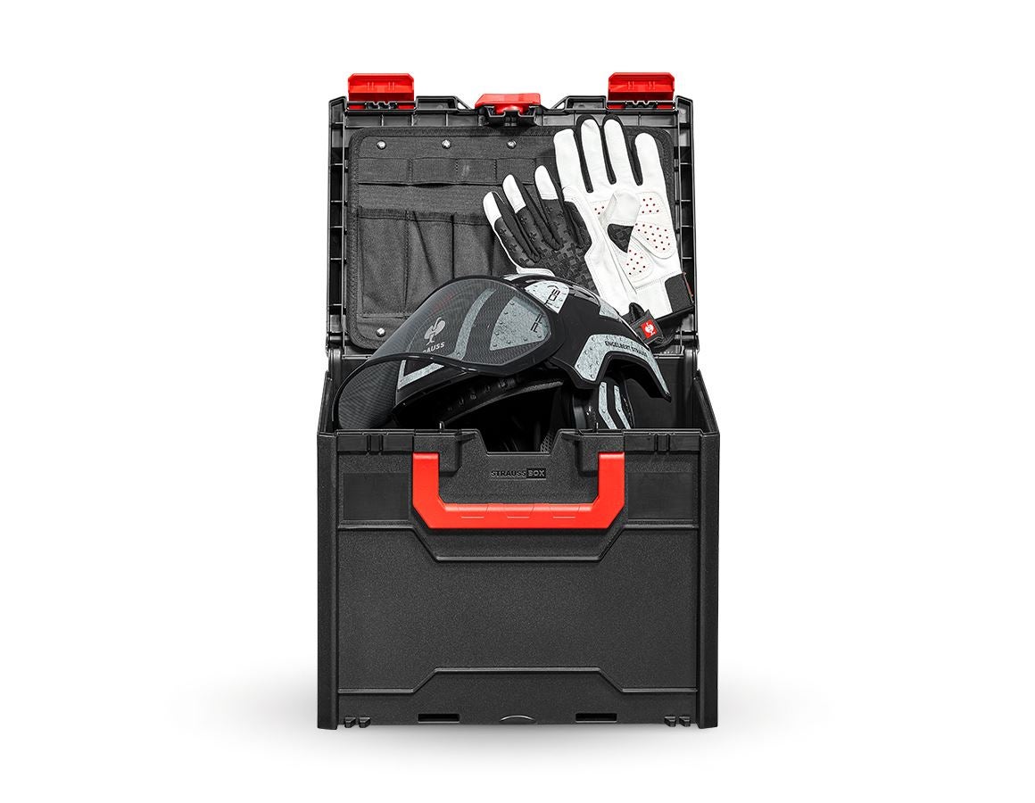 Hard Hats: SET: Forestry helmet Protos + STRAUSSbox 340 midi + black/grey
