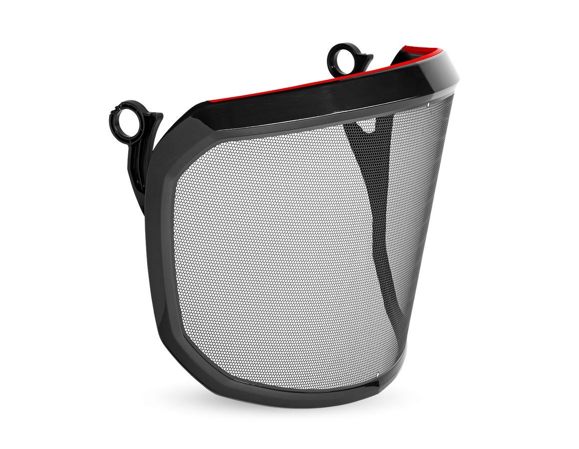 Accessories: e.s. Metal-etching visor F39 Protos® + black