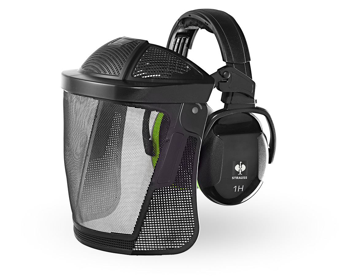 Ear Defenders: e.s. Facial protector and protector cups combi