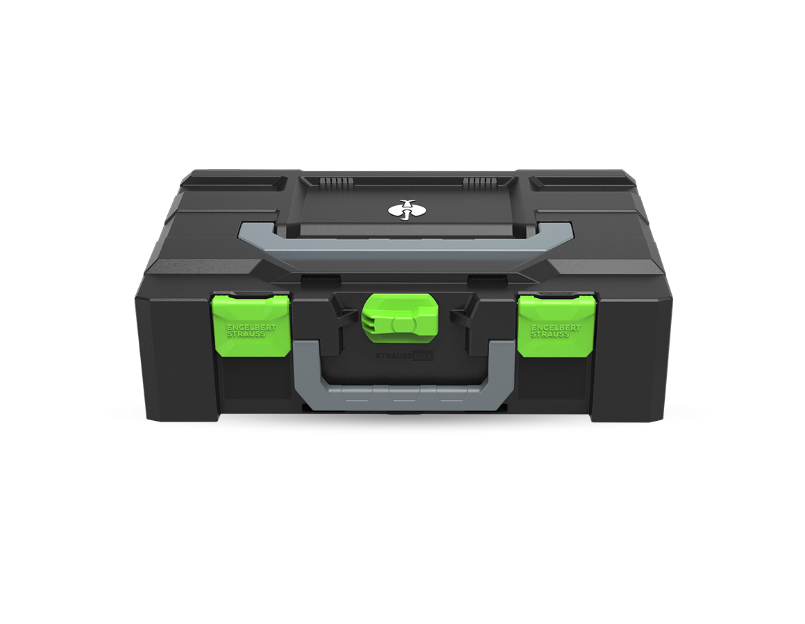 STRAUSSbox System: STRAUSSbox 145 large Color + seagreen