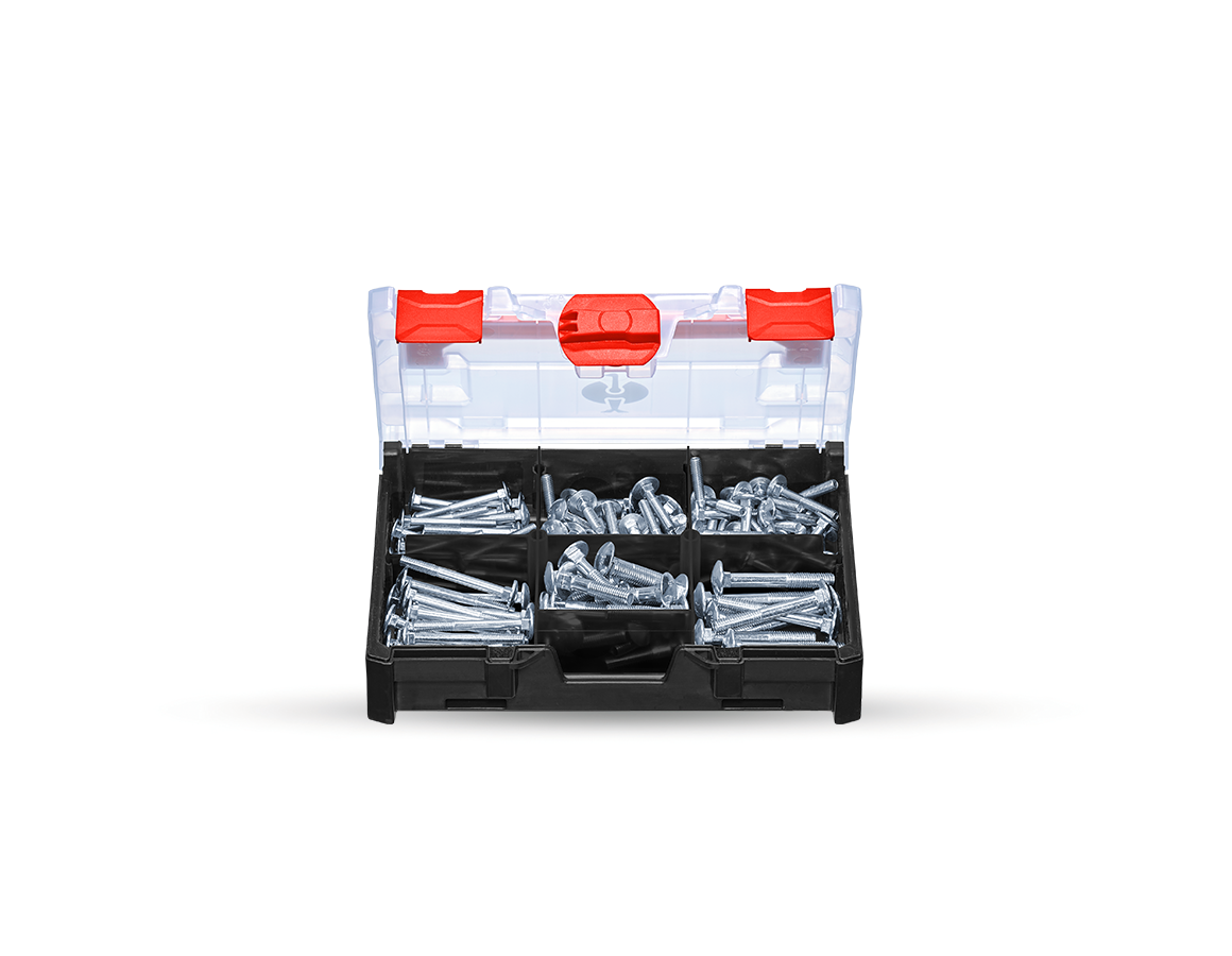 Screws: Cup square screws DIN 603 in STRAUSSbox mini