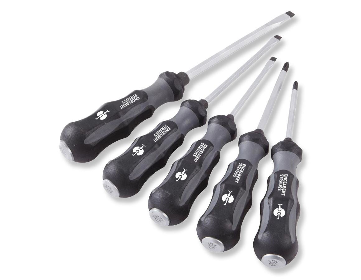 Screwdrivers: e.s. Power screwdriver set scalpro