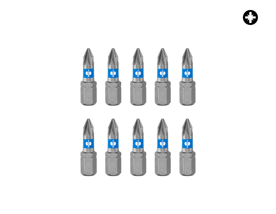 Bits: Torsion Bits Color, pack of 10, PZ