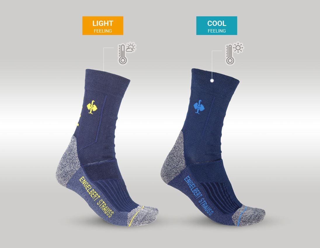 Clothing: Sock test set e.s. Allround + navy