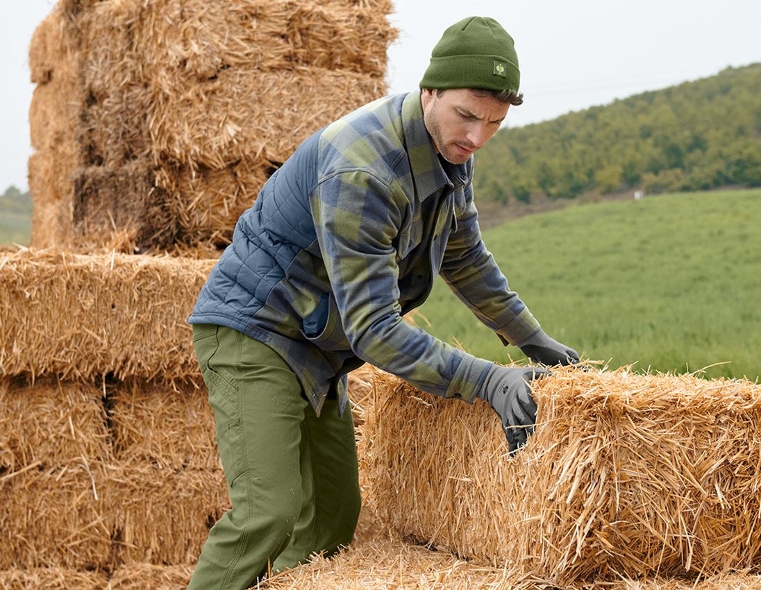 Shirts, Pullover & more: Allseason check shirt e.s.iconic + mountaingreen/oxidblue 4