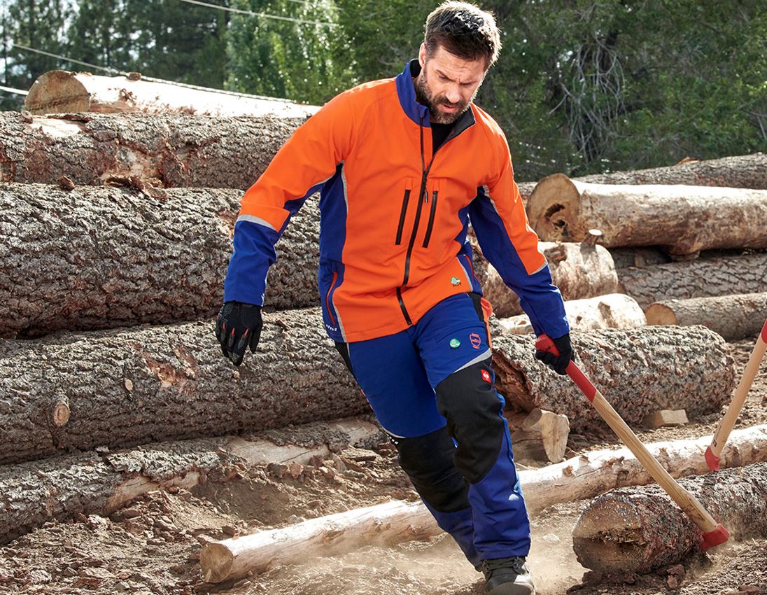 Work Jackets: e.s. Forestry jacket, KWF + royal/high-vis orange 1