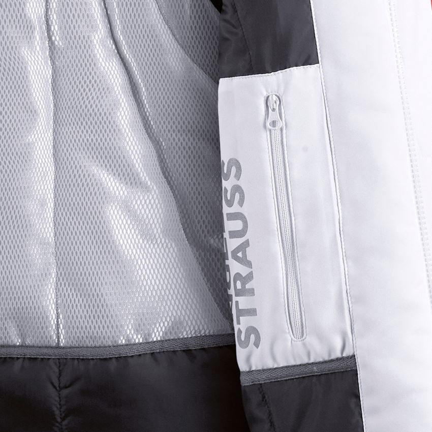 Work Body Warmer: Softshell bodywarmer e.s.motion + white/grey 2