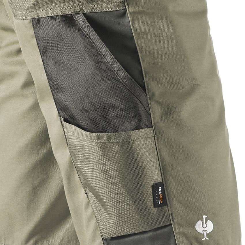 Work Trousers: Shorts e.s.motion + reed/moss 2