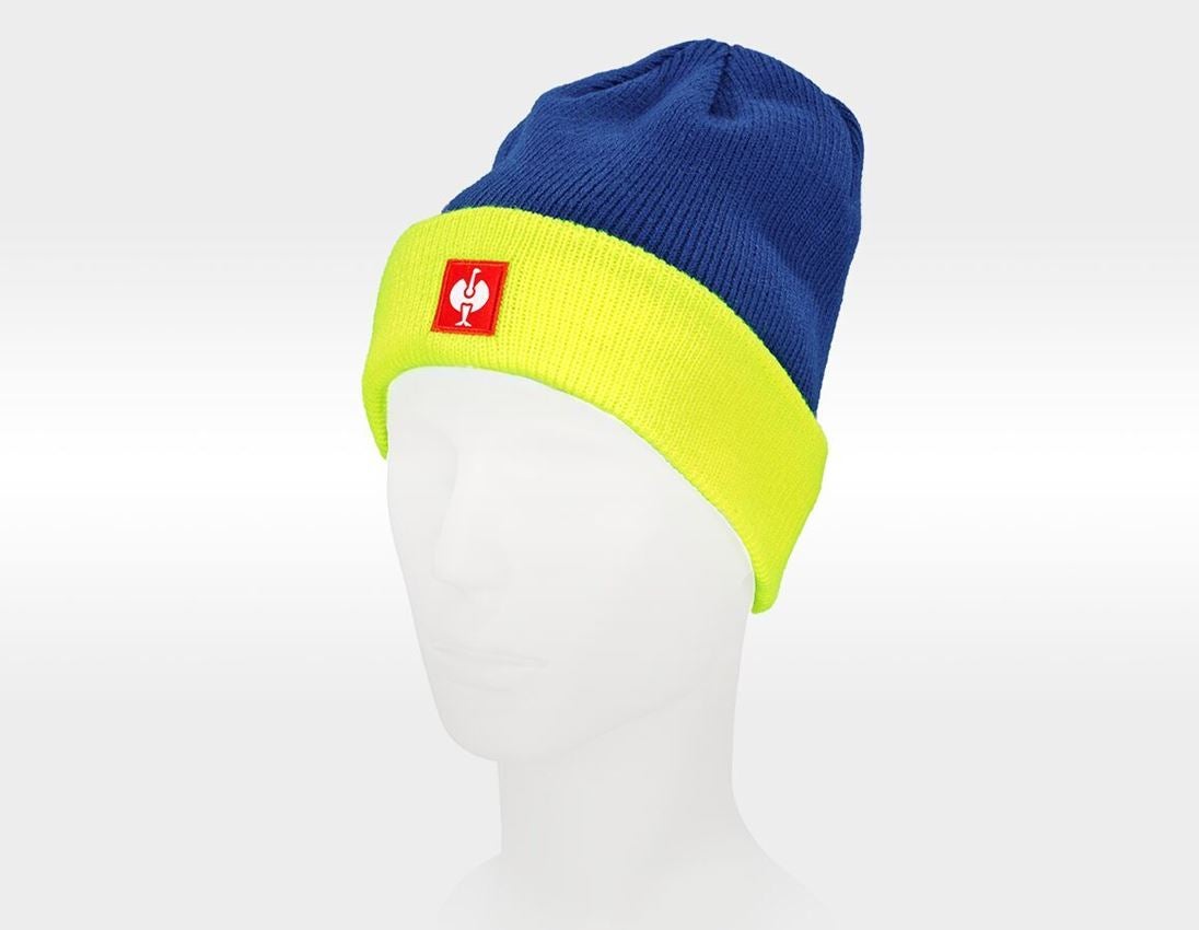 Accessories: Knitted hat e.s.motion 24/7 + royalblue/high-vis yellow 3