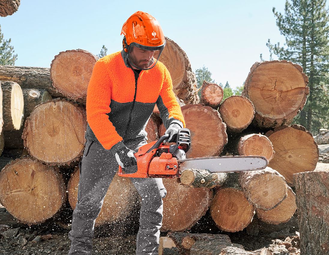 Hard Hats: e.s. Forestry helmet Protos® + high-vis orange woodprint 2