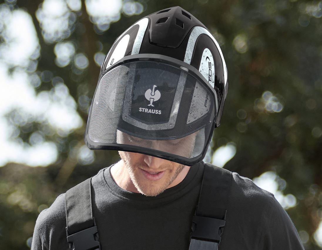 Hard Hats: e.s. Forestry helmet Protos® + black/grey 1