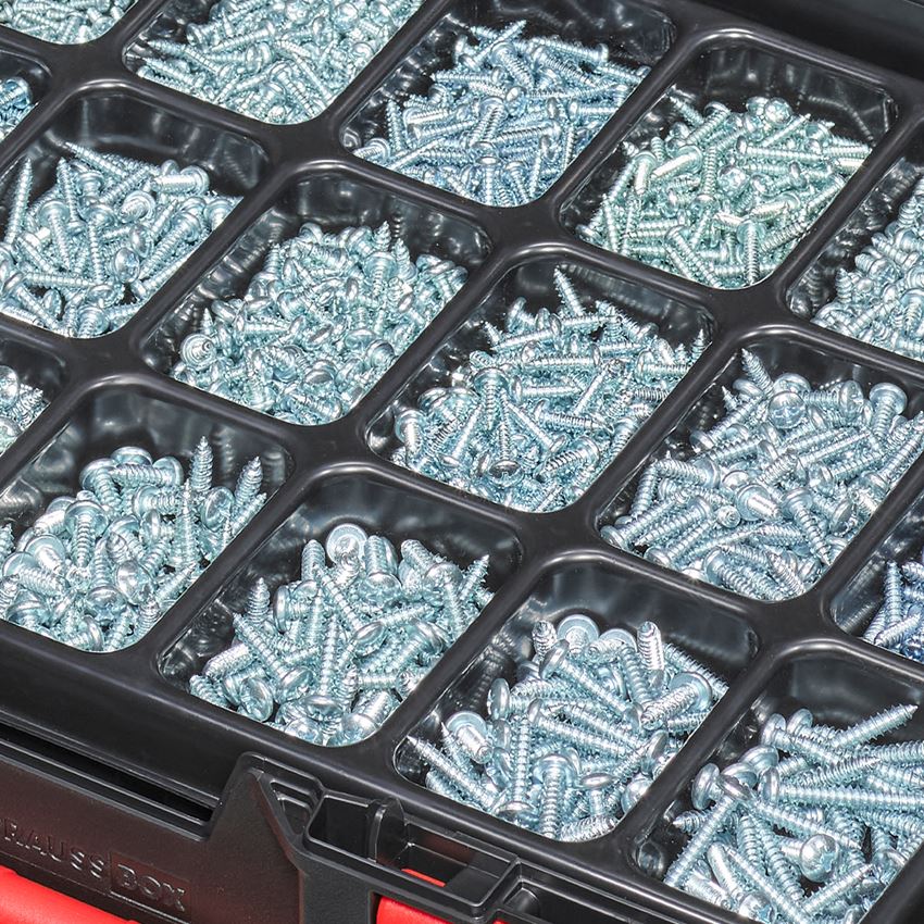 Screws: Sheet metal screws DIN 7981 galvanised STRAUSSbox 2