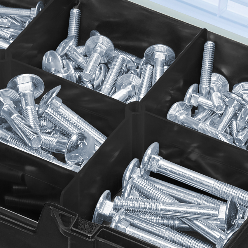 Screws: Cup square screws DIN 603 in STRAUSSbox mini 2