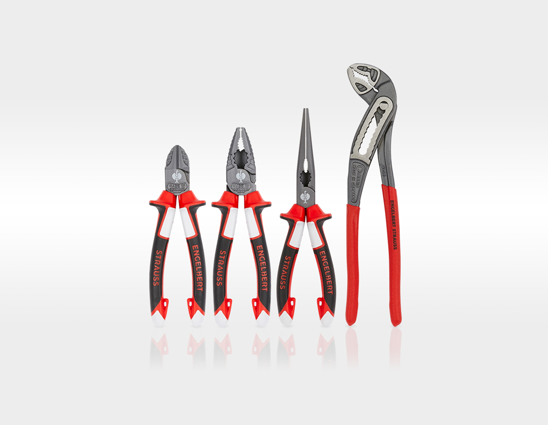 STRAUSSbox System: Tool set Allround Profi incl. STRAUSSbox + black 1