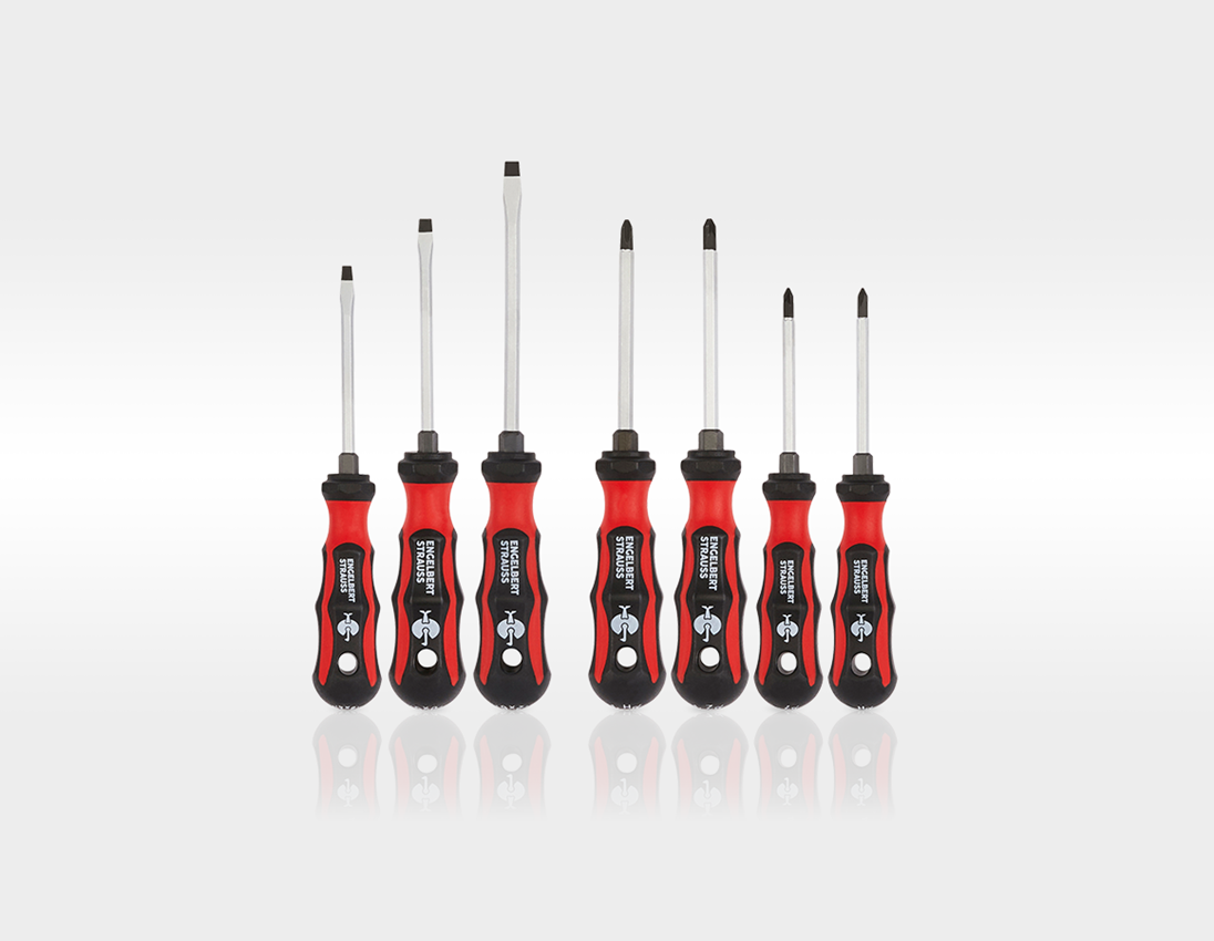 STRAUSSbox System: Tool set Allround Profi incl. STRAUSSbox + black 3