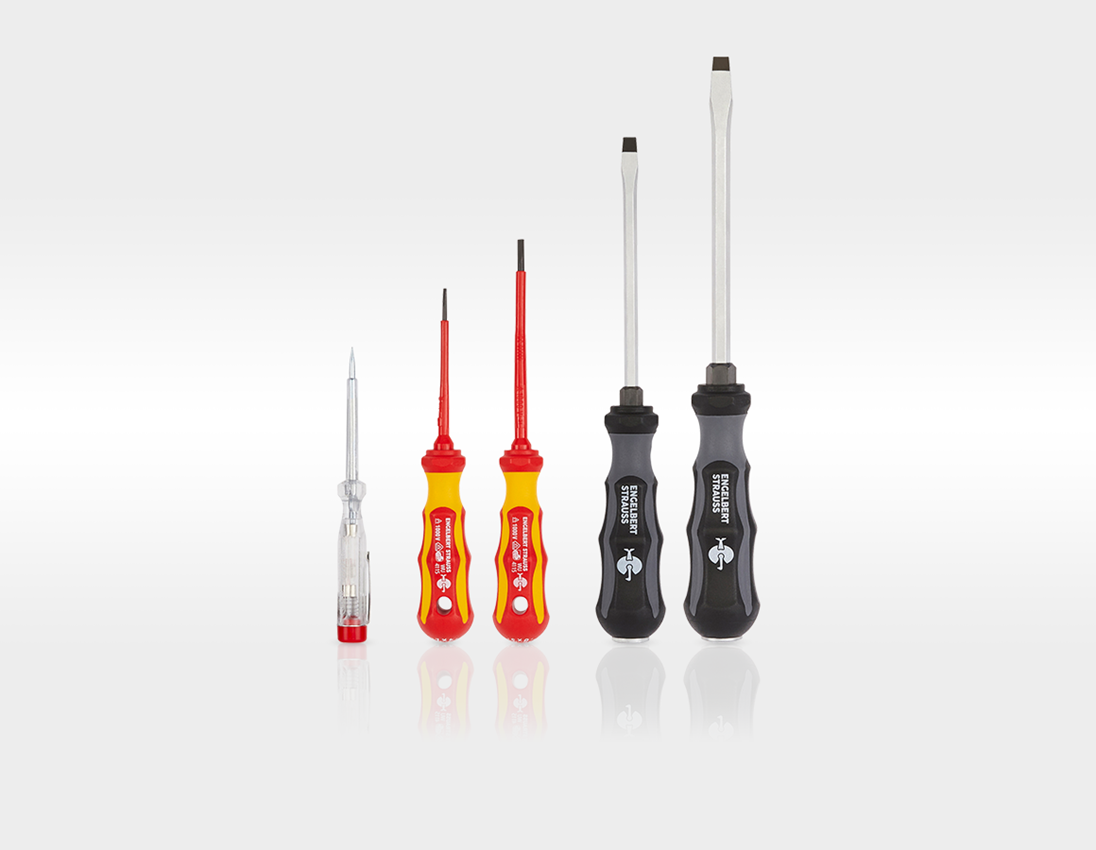 STRAUSSbox System: Tool set Allround Profi incl. STRAUSSbox + black 4