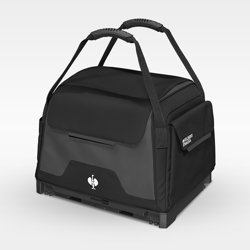 STRAUSSbox System: Tool set Allround Profi incl. STRAUSSbox + black 2