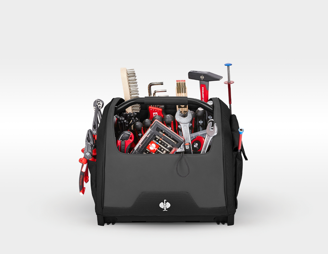STRAUSSbox System: Tool set Allround Profi incl. STRAUSSbox + black