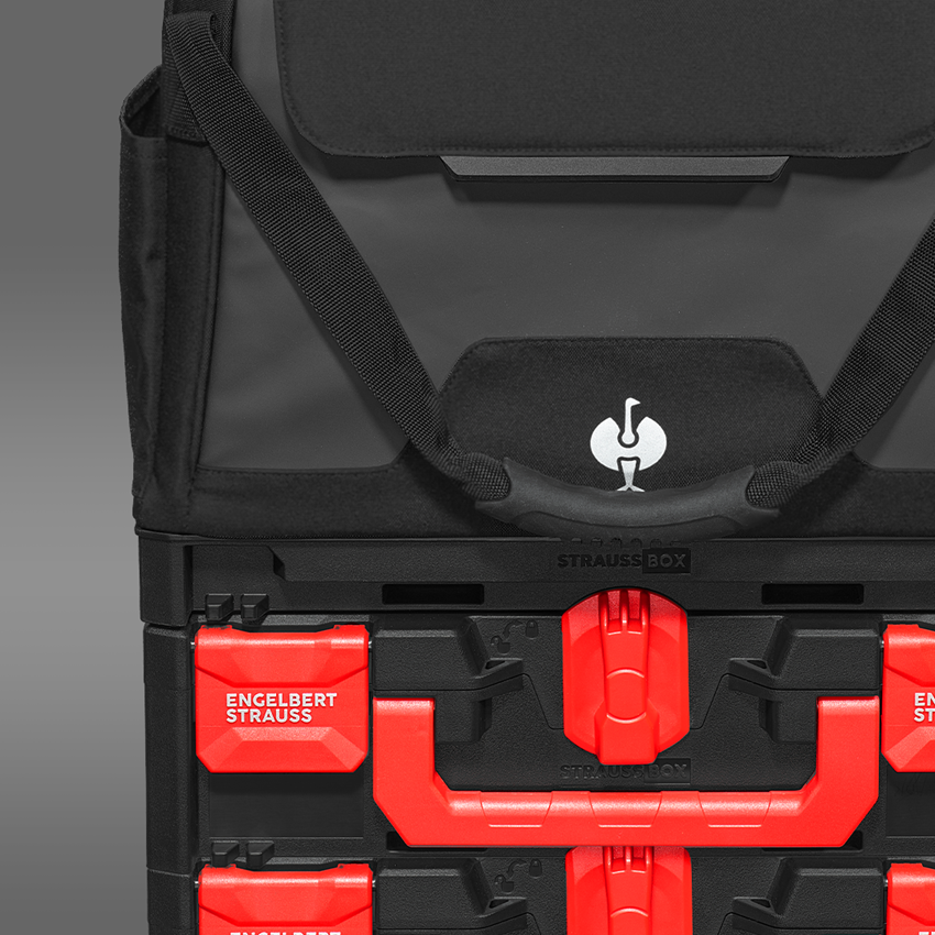 STRAUSSbox System: Tool set Elektro+STRAUSSbox + black 2