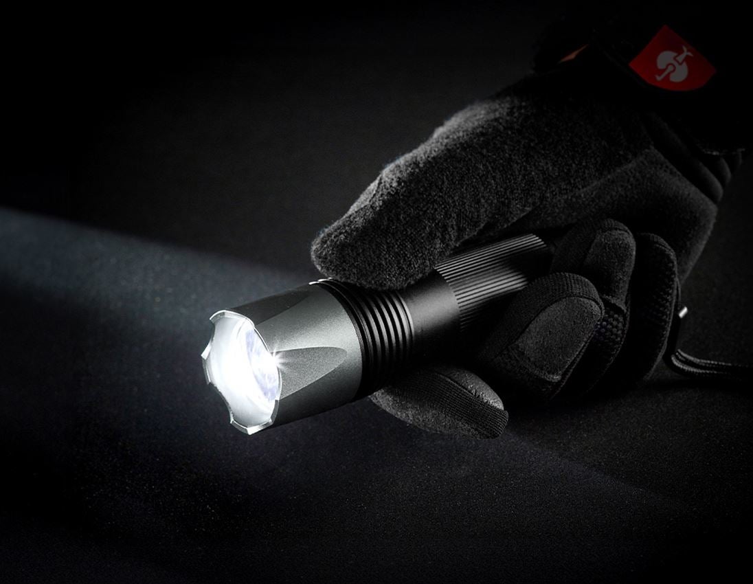 Lamps | lights: e.s. LED torch FL4+ 2