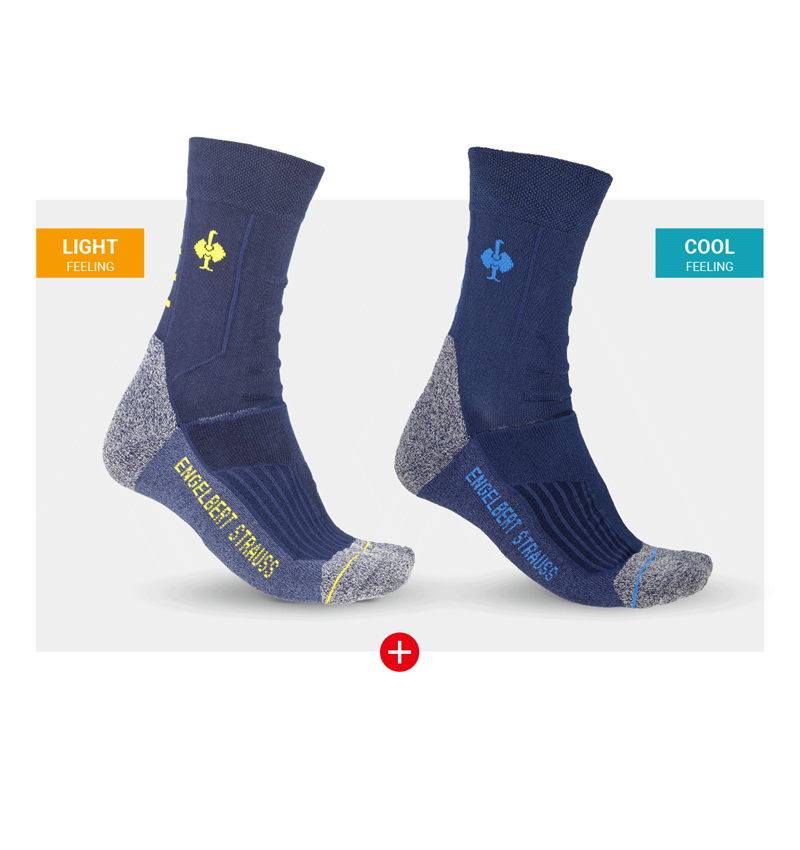 Clothing: Sock test set e.s. Allround + navy