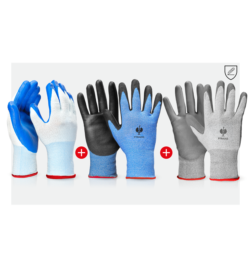 Sets | Accessories: Glove set cut