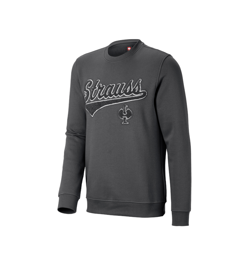 Shirts, Pullover & more: Sweatshirt e.s.e:pic + carbongrey 2