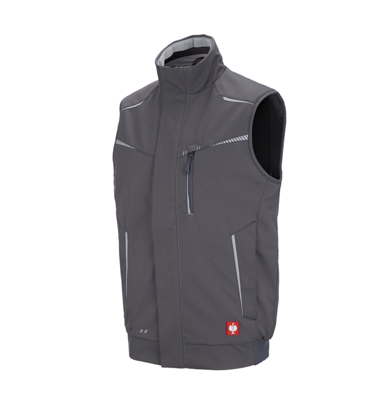 Work Body Warmer: Winter softshell bodywarmer e.s.motion 2020 + anthracite/platinum