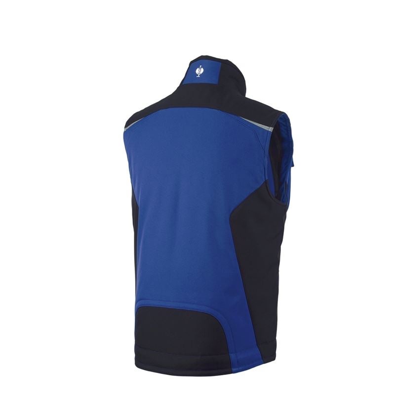 Work Body Warmer: Softshell bodywarmer e.s.motion + royalblue/black 3