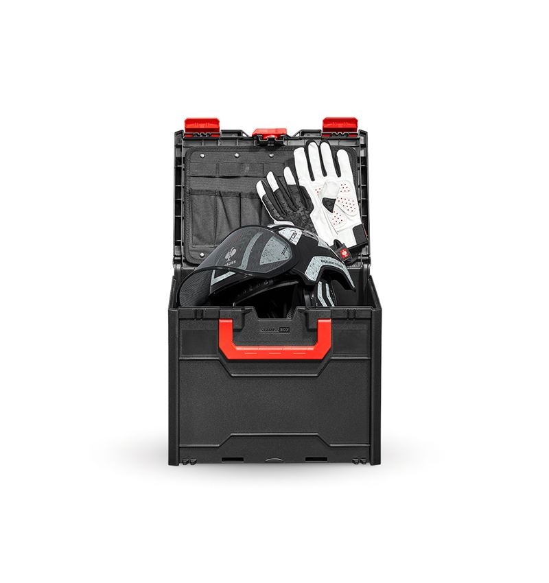 Hard Hats: SET: Forestry helmet Protos + STRAUSSbox 340 midi + black/grey