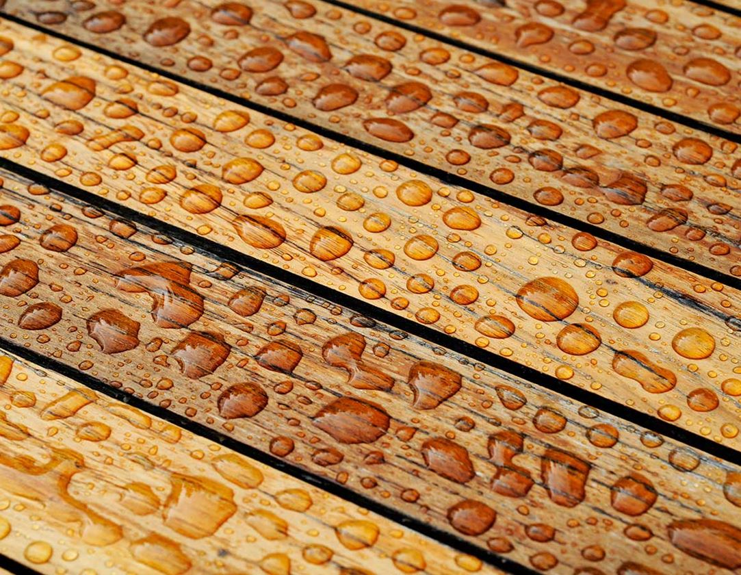 Screws: Wooden construction screw stainless steel plus