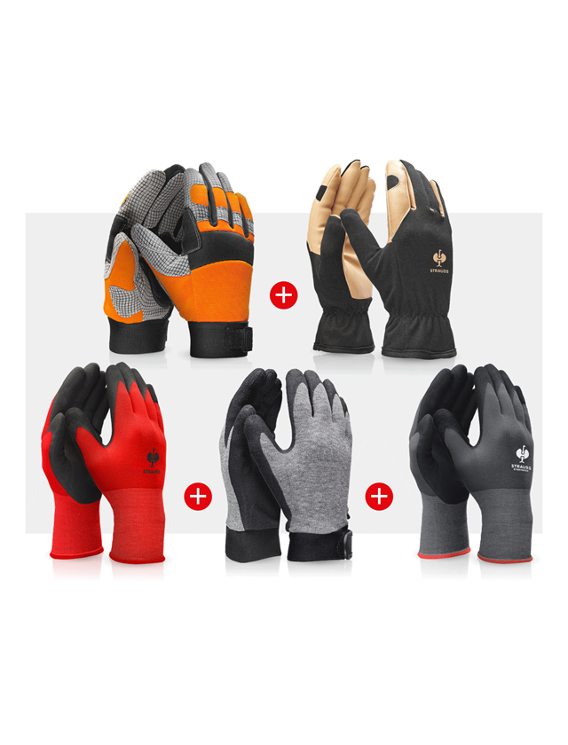 Sets | Accessories: Gloves – professional set assembly II
