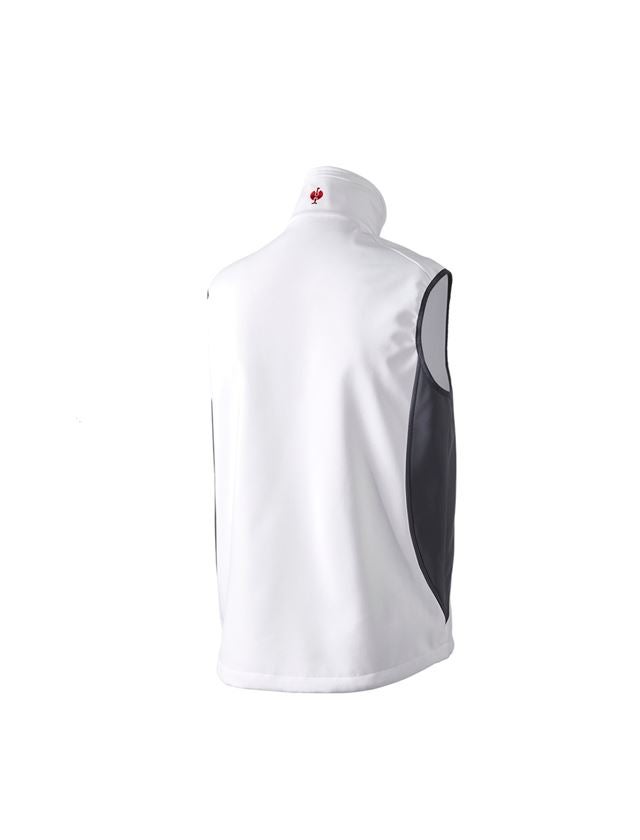 Topics: Softshell bodywarmer dryplexx® softlight + white/grey 3