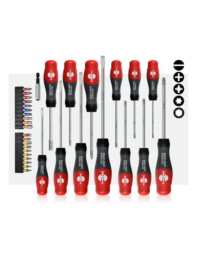 Offers of the month: e.s. 3-C workshop screwdriver set