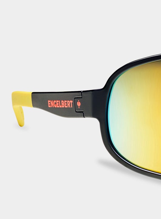 Race sunglasses e.s.ambition
